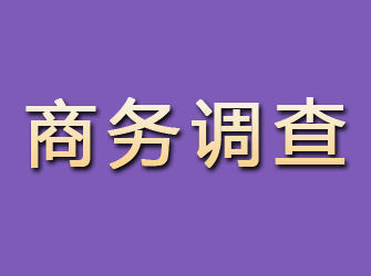 宛城商务调查